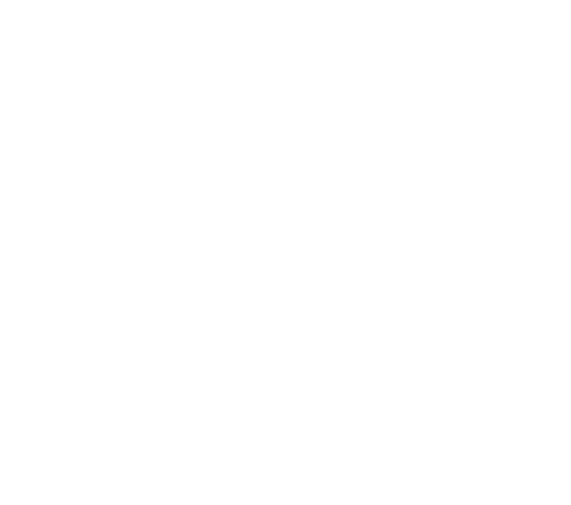 Falcon Media